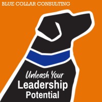 Blue Collar Consulting LLC logo - Similar company to Van Der Hoof International Realty