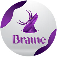 Brame Agency logo - Similar company to Blockward