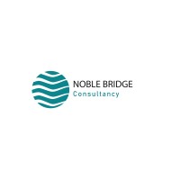 Noble Bridge Consultancy logo - Similar company to Hr360 Ltd: Get The Full Perspective