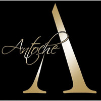 Antoche Limited logo - Similar company to Jp Sage Group Limited