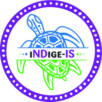 iNDige-IS logo - Similar company to Your Way Disability Sa
