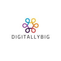 DigitallyBig logo - Similar company to Codenetworkz
