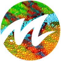 Monkfield Reptile logo - Similar company to Go Caps