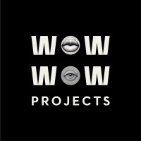 WOW WOW PROJECTS logo - Similar company to Capital Turkish Connections