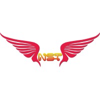 NST Group (Nascent Star Trading Pvt Ltd) logo - Similar company to Midaspire Solutions