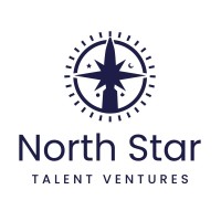 North Star Talent Ventures logo - Similar company to Pitch Financial Group