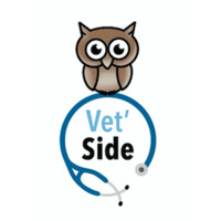 Vet'side logo - Similar company to Dialys