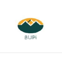 Bupi logo - Similar company to Geonorth
