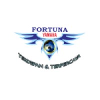 Fortuna Motor Group logo - Similar company to Pt. Megacahaya Malindo