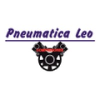 PNEUMATICA LEO 2018 logo - Similar company to Tramit Smart App