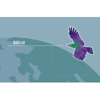 BBird logo - Similar company to Gqcconsult