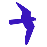 StratusHawk logo - Similar company to Dabler