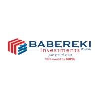 Babereki Investments Ltd logo - Similar company to Nexus Risk Adjusters