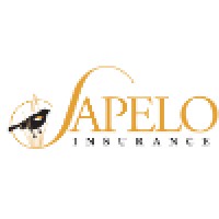 Sapelo Insurance logo - Similar company to Victory North Savannah