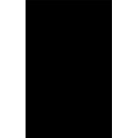 BP logo - Similar company to Endorfinei
