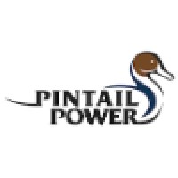 Pintail Power logo - Similar company to Torc Clean Energy
