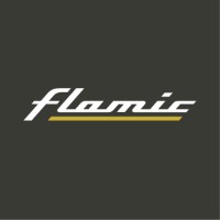 Flamic logo - Similar company to Effedue