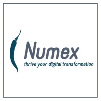Numex logo - Similar company to Nanoconsulting Bvba