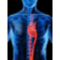 Intelligent Imaging & Intelligent Medical Solutions