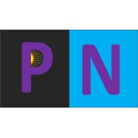 PN Automation & Energy Solutions logo - Related company intelligence peer for Lasys Technologies Pvt Ltd