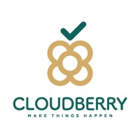 Cloudberry logo - Similar company to Cloudberry Group