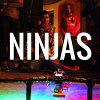 Ninjas for Health logo - Similar company to Healthtide
