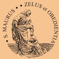 Colégio São Mauro logo - Similar company to Instituto Católico De Liderança