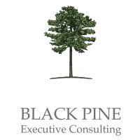 Black Pine Executive Consulting logo - Similar company to Allsecure D.O.O.