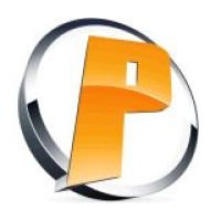 Platin Zeitarbeit GmbH logo - Similar company to Schmidt & Wifling Gmbh