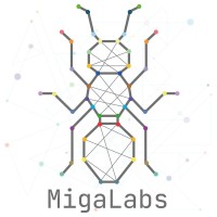 MigaLabs logo - Similar company to Devinet 2013, S.L.U.