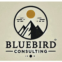 Bluebird Consulting Ltd logo - Similar company to Good Swan