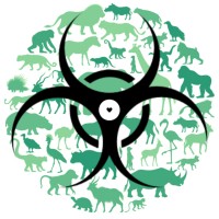 CIESA logo - Similar company to Círculo De Investigación En Cambio Climático