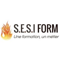 SESIFORM logo - Similar company to Piversity