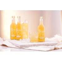 Twisted Kombucha logo - Similar company to Prano Drinks