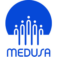 MEDUSA Network logo - Similar company to Lemesurier Project
