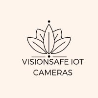 VisionSafe IoT Cameras logo - Similar company to Vision Analytics