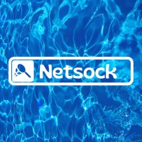 Netsock logo - Similar company to Netsocks