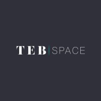 TEB SPACE logo - Similar company to Egyptian Engineering Group