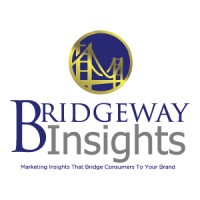 Bridgeway Insights logo - Similar company to Bridgeway Professionals