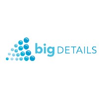 Big Details logo - Similar company to Data Science Made Easy