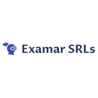 Examar SRLs logo - Similar company to Geoperuvian
