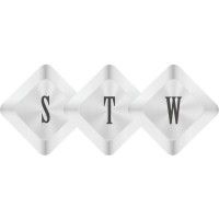 STW Services LLP logo - Similar company to Antsglobe Technologies