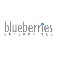 Blueberries Enterprises logo - Similar company to Digicraft Solution