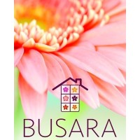Busara Recovery Home logo - Similar company to All Speech, Llc