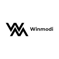 Winmodi IT Consulting logo - Similar company to Mima It Services
