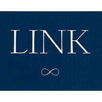 The Link Consulting Group logo - Similar company to Sync Consulting Group