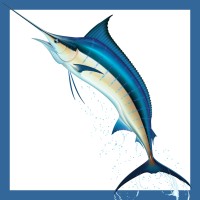 Sale Fish logo - Similar company to Optum Construction Group Llc