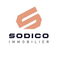 Sodico Immobilier logo - Similar company to Aprotect