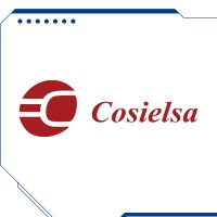 Cosielsa logo - Similar company to Abastecedora De Puertas Y Herrajes