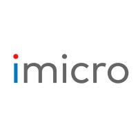 iMicro logo - Similar company to Imicro Information Technology